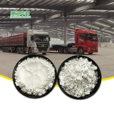 diatomaceous earth for humans